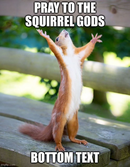 yep why not | PRAY TO THE SQUIRREL GODS; BOTTOM TEXT | image tagged in happy squirrel | made w/ Imgflip meme maker