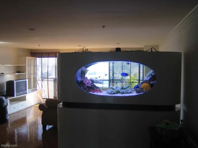 Whenever I see an acrylic aquarium designed creatively, it´s an instant draw for me | image tagged in aquarium | made w/ Imgflip meme maker