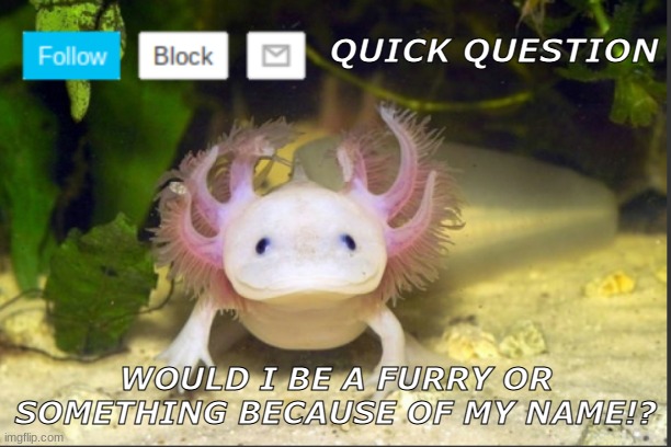I NEED TO FOOKING KNOW NOW! | QUICK QUESTION; WOULD I BE A FURRY OR SOMETHING BECAUSE OF MY NAME!? | image tagged in axolotldudes announcement template | made w/ Imgflip meme maker