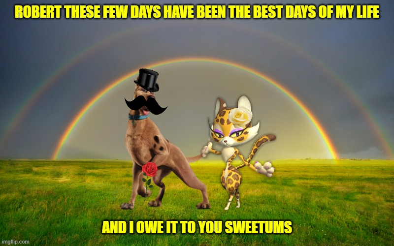 every dog has his romantic day | ROBERT THESE FEW DAYS HAVE BEEN THE BEST DAYS OF MY LIFE; AND I OWE IT TO YOU SWEETUMS | image tagged in double rainbow,cats,dogs,romance,cheetah | made w/ Imgflip meme maker