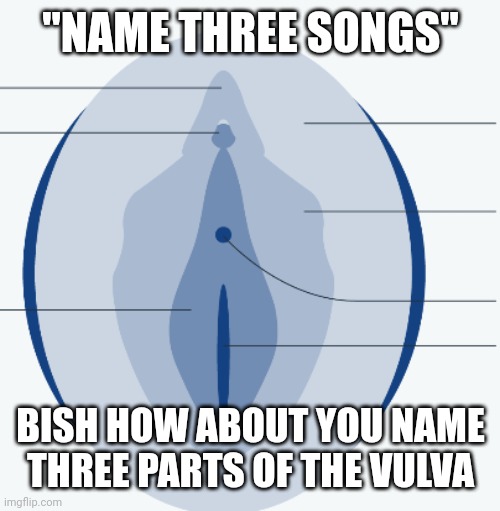 Name three songs bish | "NAME THREE SONGS"; BISH HOW ABOUT YOU NAME THREE PARTS OF THE VULVA | image tagged in memes | made w/ Imgflip meme maker