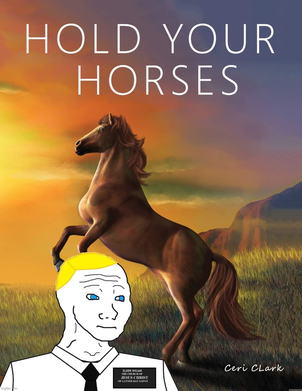 High Quality BritishMormon hold your horses Blank Meme Template