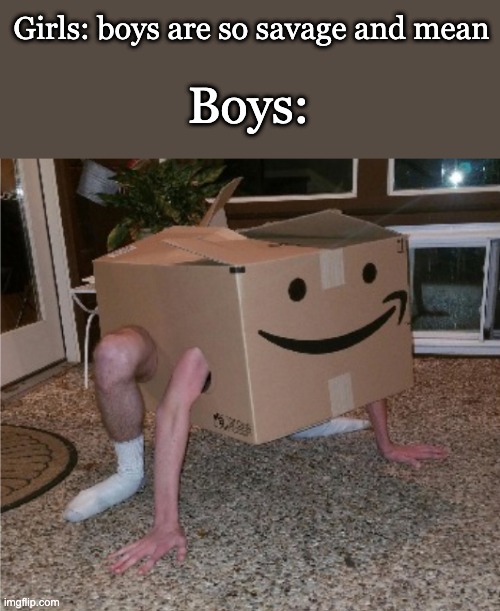 Boys be weird :P |  Girls: boys are so savage and mean; Boys: | image tagged in box man,memes,funny,box,girls vs boys | made w/ Imgflip meme maker