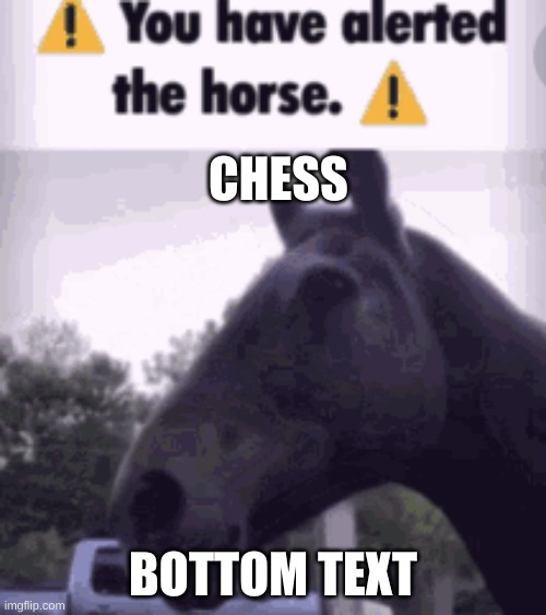 You have alerted the horse. (Static) | CHESS; BOTTOM TEXT | image tagged in you have alerted the horse static | made w/ Imgflip meme maker