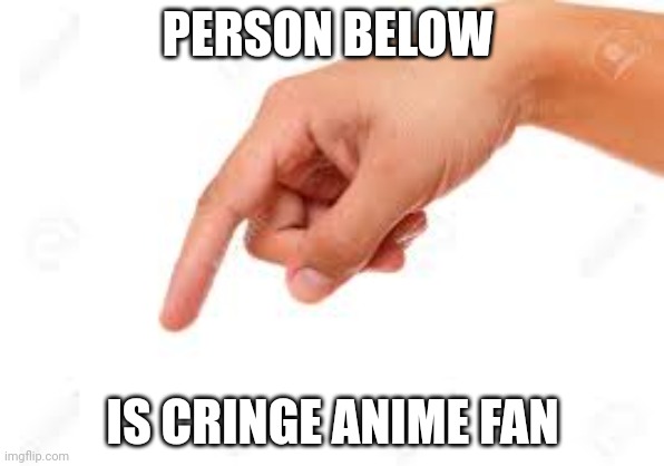the person below | PERSON BELOW; IS CRINGE ANIME FAN | image tagged in the person below | made w/ Imgflip meme maker
