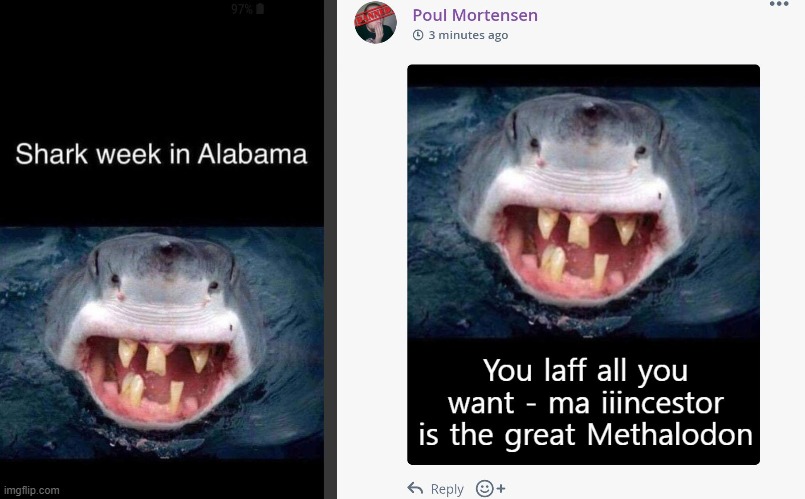 Aaaalabama folks | image tagged in shark week,funny,sharks,meme comments,comments | made w/ Imgflip meme maker
