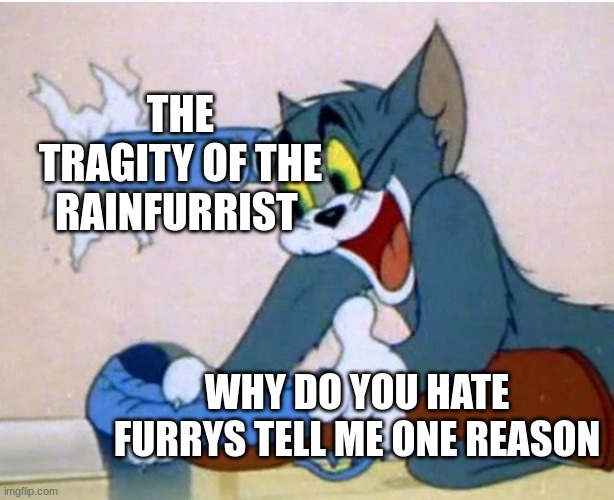 Tom and Jerry | THE TRAGITY OF THE RAINFURRIST; WHY DO YOU HATE FURRYS TELL ME ONE REASON | image tagged in tom and jerry | made w/ Imgflip meme maker