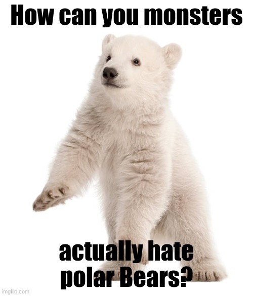 child abduction is one thing, but hating on adorable animals?!?!?!? | How can you monsters; actually hate polar Bears? | made w/ Imgflip meme maker