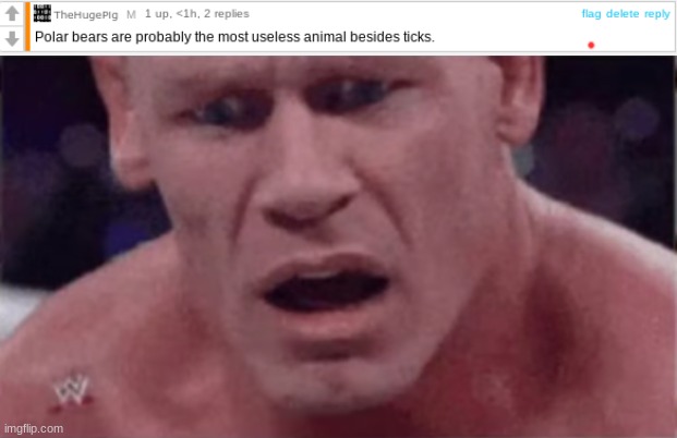 Why??!?!?!?!??!?!?!? | image tagged in john cena | made w/ Imgflip meme maker