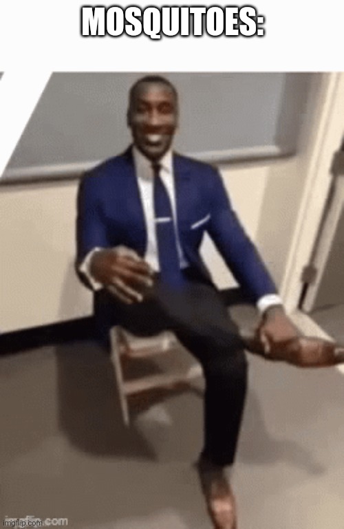 MOSQUITOES: | made w/ Imgflip meme maker