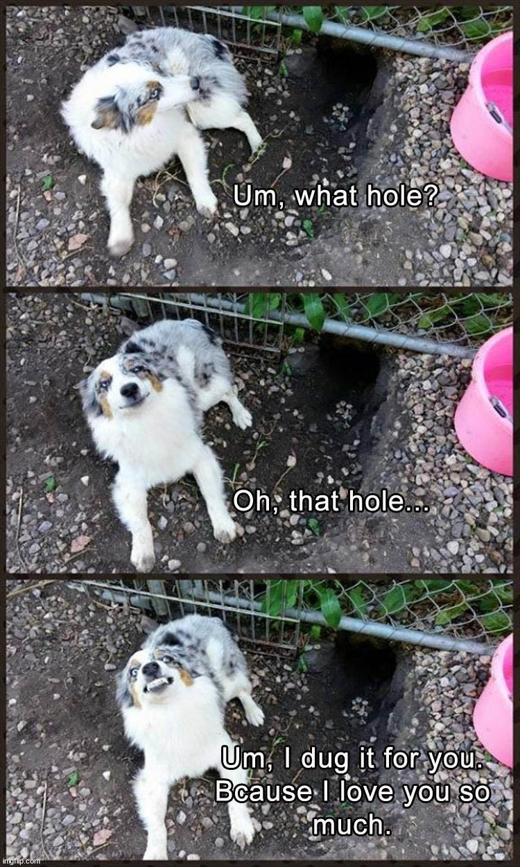 image tagged in dogs | made w/ Imgflip meme maker