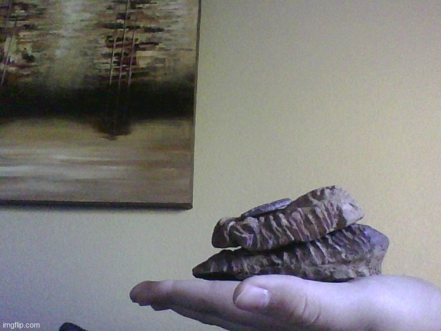 trilotower (hi chat) | made w/ Imgflip meme maker