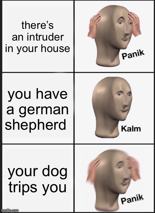 sureeeeee |  there’s an intruder in your house; you have a german shepherd; your dog trips you | image tagged in memes,panik kalm panik,funny,dogs | made w/ Imgflip meme maker