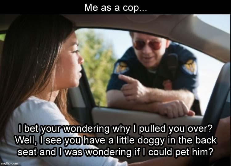 This is why I am not a cop | image tagged in who_am_i | made w/ Imgflip meme maker