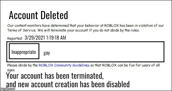 Poison Ban | Account Deleted; 3/29/2021 1:19:18 AM; gay; Inappropriate; Your account has been terminated, and new account creation has been disabled | image tagged in banned from roblox 2008 interface edition | made w/ Imgflip meme maker