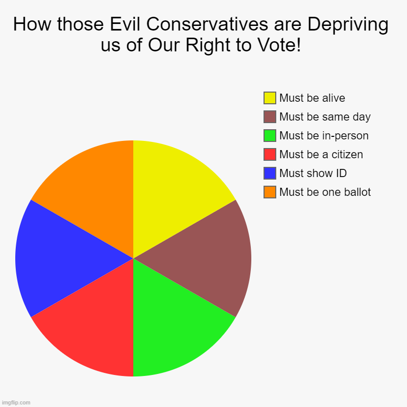 It's Shameful | How those Evil Conservatives are Depriving us of Our Right to Vote! | Must be one ballot, Must show ID, Must be a citizen, Must be in-person | image tagged in charts,pie charts | made w/ Imgflip chart maker