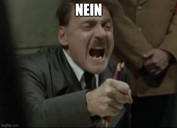 Hitler Downfall | NEIN | image tagged in hitler downfall | made w/ Imgflip meme maker