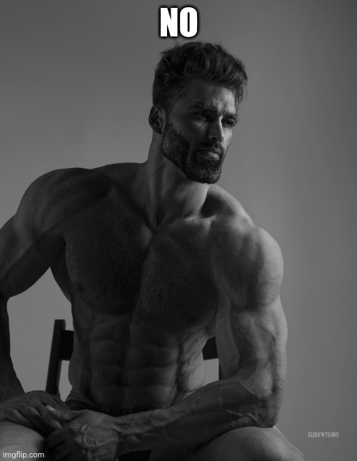 Giga Chad | NO | image tagged in giga chad | made w/ Imgflip meme maker
