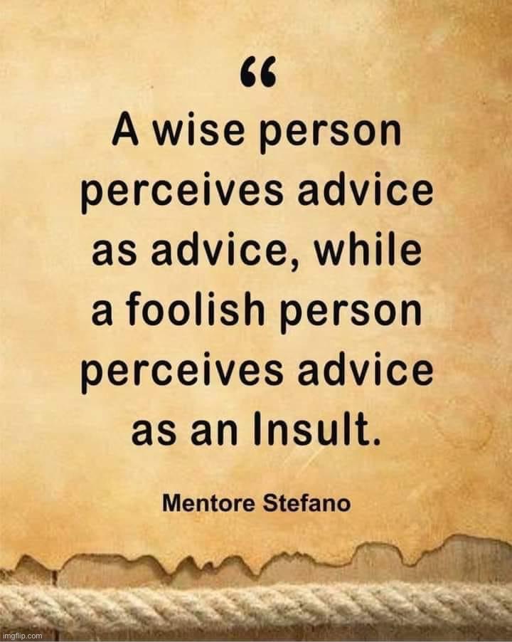 Mentore Stefano quote | image tagged in mentore stefano quote | made w/ Imgflip meme maker