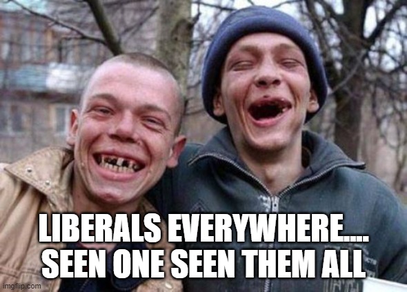 Ugly Twins Meme | LIBERALS EVERYWHERE.... SEEN ONE SEEN THEM ALL | image tagged in memes,ugly twins | made w/ Imgflip meme maker