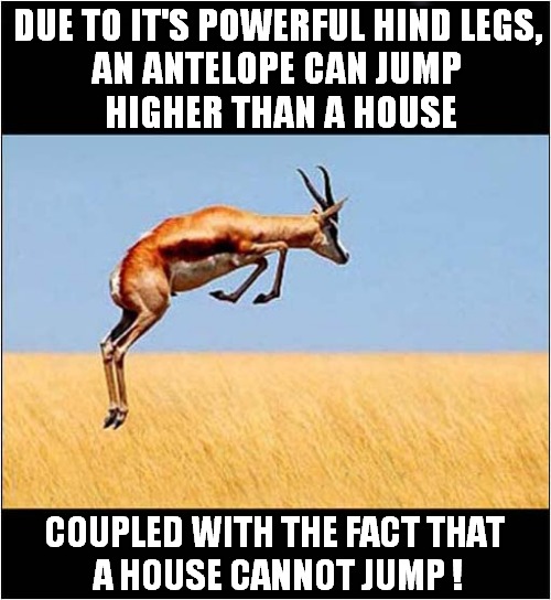 The Wonders Of Nature ! | DUE TO IT'S POWERFUL HIND LEGS,
AN ANTELOPE CAN JUMP
 HIGHER THAN A HOUSE; COUPLED WITH THE FACT THAT
 A HOUSE CANNOT JUMP ! | image tagged in antelope,jumping,house | made w/ Imgflip meme maker