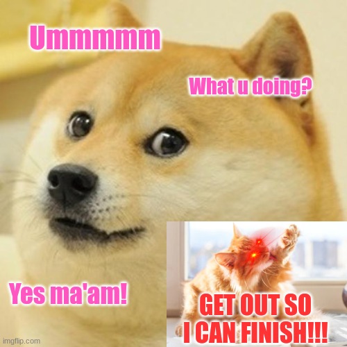 get out so i can finish! | Ummmmm; What u doing? Yes ma'am! GET OUT SO I CAN FINISH!!! | image tagged in memes,doge | made w/ Imgflip meme maker