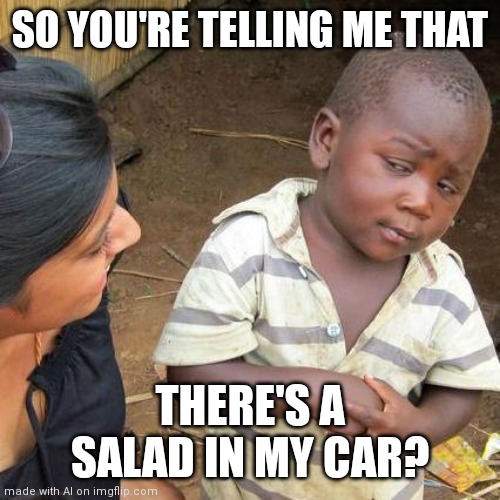 Third World Skeptical Kid | SO YOU'RE TELLING ME THAT; THERE'S A SALAD IN MY CAR? | image tagged in memes,third world skeptical kid | made w/ Imgflip meme maker