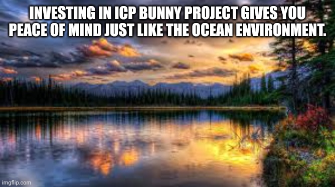 Landscape  | INVESTING IN ICP BUNNY PROJECT GIVES YOU PEACE OF MIND JUST LIKE THE OCEAN ENVIRONMENT. | image tagged in landscape | made w/ Imgflip meme maker