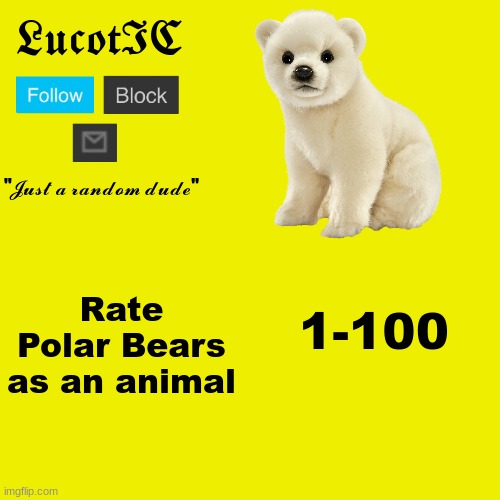 they are so cute! | Rate Polar Bears as an animal; 1-100 | image tagged in lucotic polar bear announcement template | made w/ Imgflip meme maker