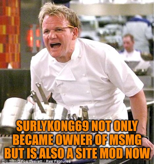 Chef Gordon Ramsay | SURLYKONG69 NOT ONLY BECAME OWNER OF MSMG BUT IS ALSO A SITE MOD NOW | image tagged in memes,chef gordon ramsay | made w/ Imgflip meme maker