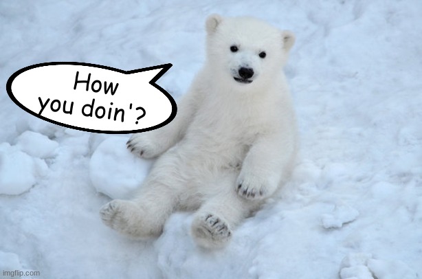Polar Bear :D | How you doin'? | made w/ Imgflip meme maker