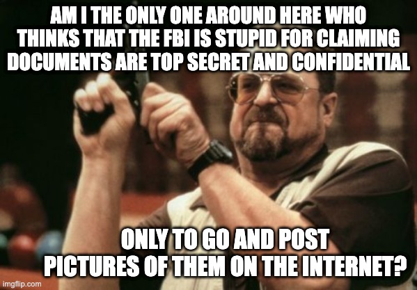 Am I The Only One Around Here Meme | AM I THE ONLY ONE AROUND HERE WHO THINKS THAT THE FBI IS STUPID FOR CLAIMING DOCUMENTS ARE TOP SECRET AND CONFIDENTIAL; ONLY TO GO AND POST PICTURES OF THEM ON THE INTERNET? | image tagged in memes,am i the only one around here | made w/ Imgflip meme maker