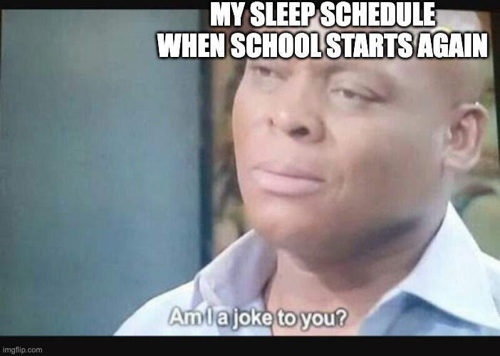 Why yes! | MY SLEEP SCHEDULE WHEN SCHOOL STARTS AGAIN | image tagged in am i a joke to you,school,sleep,sleep schedule | made w/ Imgflip meme maker