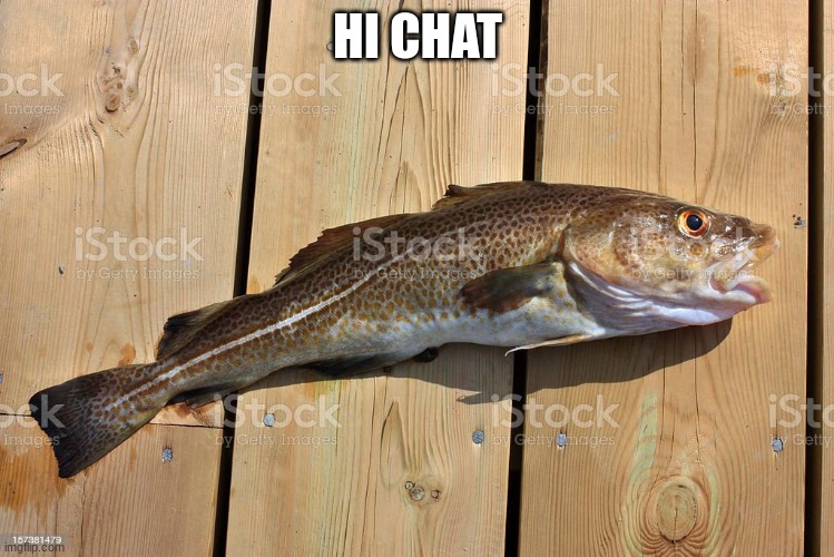 cod stock photo | HI CHAT | image tagged in cod stock photo | made w/ Imgflip meme maker