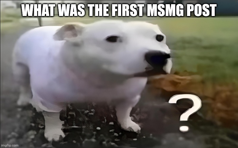 Huh Dog | WHAT WAS THE FIRST MSMG POST | image tagged in huh dog | made w/ Imgflip meme maker