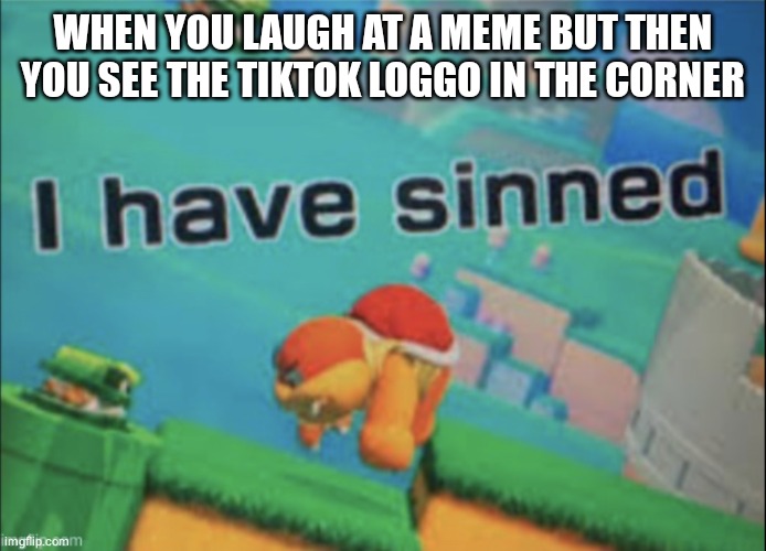 Sinner | WHEN YOU LAUGH AT A MEME BUT THEN YOU SEE THE TIKTOK LOGGO IN THE CORNER | image tagged in funny memes,i have sinned,lol so funny,bruh | made w/ Imgflip meme maker
