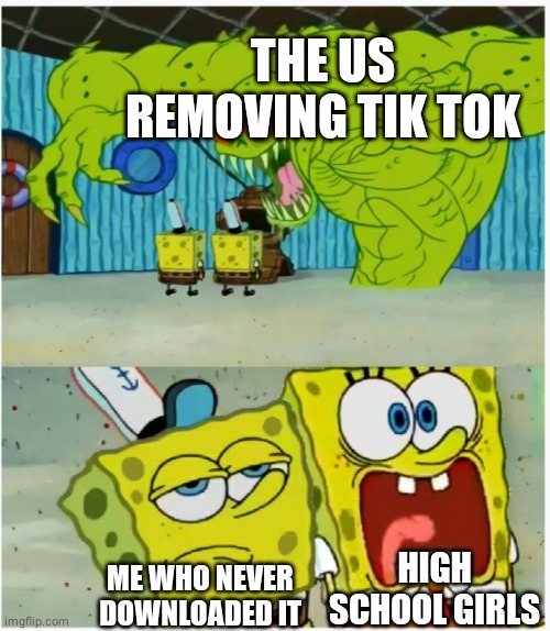 SpongeBob SquarePants scared but also not scared | THE US REMOVING TIK TOK; HIGH SCHOOL GIRLS; ME WHO NEVER DOWNLOADED IT | image tagged in funny memes,hahaha,tiktok,spongebob,bruh | made w/ Imgflip meme maker