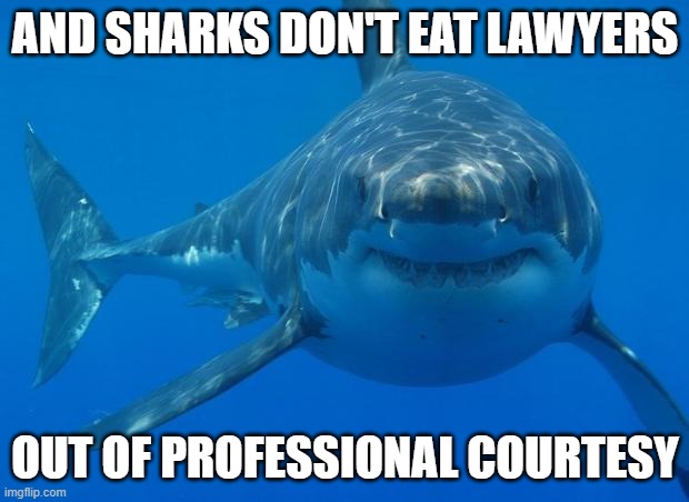 Straight White Shark | AND SHARKS DON'T EAT LAWYERS OUT OF PROFESSIONAL COURTESY | image tagged in straight white shark | made w/ Imgflip meme maker
