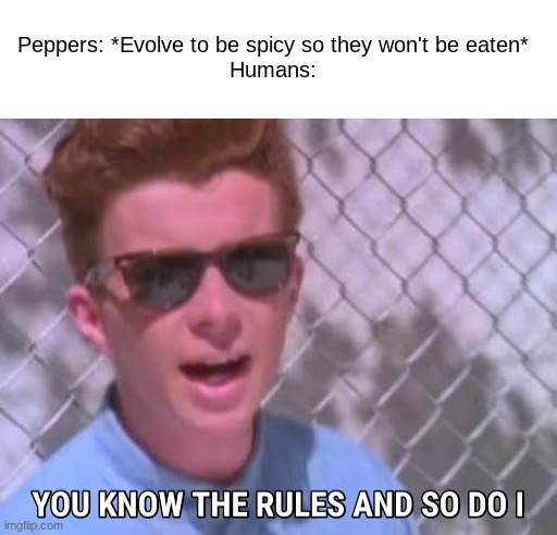 Peppers: *Evolve to be spicy so they won't be eaten*
Humans: | image tagged in blank white template,rick astley you know the rules | made w/ Imgflip meme maker