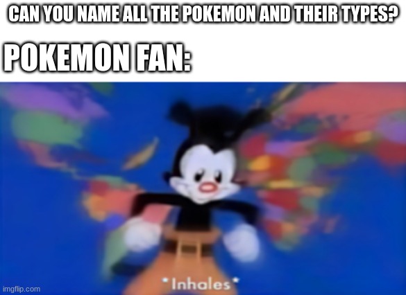 pokemon fan be like | POKEMON FAN:; CAN YOU NAME ALL THE POKEMON AND THEIR TYPES? | image tagged in yakko inhale,pokemon | made w/ Imgflip meme maker