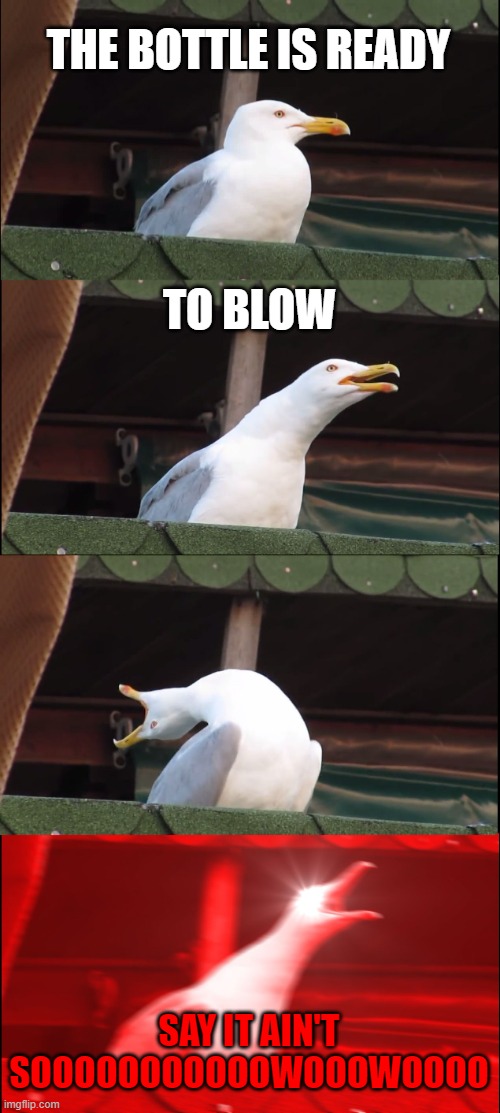 weezer be like | THE BOTTLE IS READY; TO BLOW; SAY IT AIN'T SOOOOOOOOOOOWOOOWOOOO | image tagged in memes,inhaling seagull | made w/ Imgflip meme maker