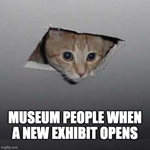 Excited Cat for a New Exhibit | MUSEUM PEOPLE WHEN A NEW EXHIBIT OPENS | image tagged in memes,ceiling cat,cat,museum | made w/ Imgflip meme maker