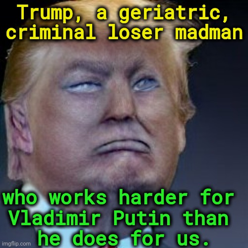 Trump, a geriatric, criminal loser madman; who works harder for 
Vladimir Putin than 
he does for us. | image tagged in trump,old,criminal,loser,madman,putin | made w/ Imgflip meme maker