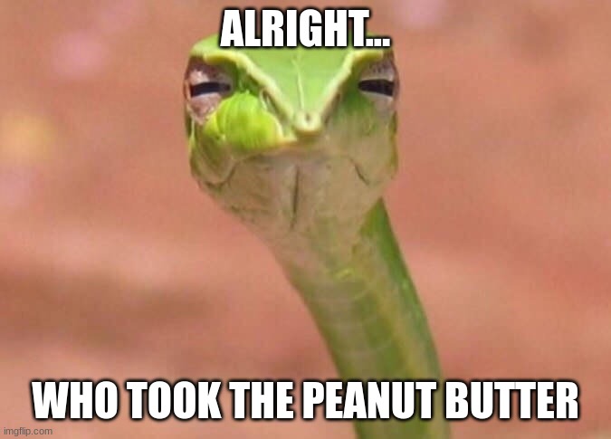 This guy likes his peanut butter |  ALRIGHT... WHO TOOK THE PEANUT BUTTER | image tagged in skeptical snake | made w/ Imgflip meme maker