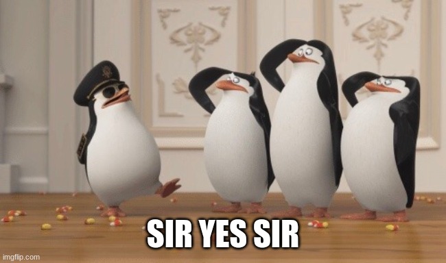 Sir, Yes Sir! | SIR YES SIR | image tagged in sir yes sir | made w/ Imgflip meme maker