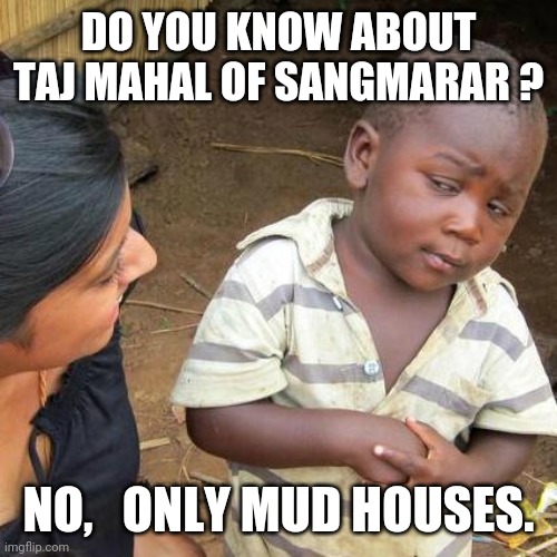 Third World Skeptical Kid | DO YOU KNOW ABOUT TAJ MAHAL OF SANGMARAR ? NO,   ONLY MUD HOUSES. | image tagged in memes,third world skeptical kid | made w/ Imgflip meme maker