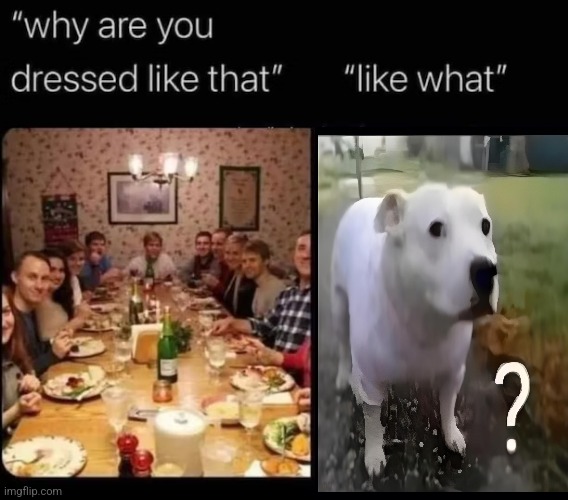 why are you dressed like that | image tagged in why are you dressed like that | made w/ Imgflip meme maker