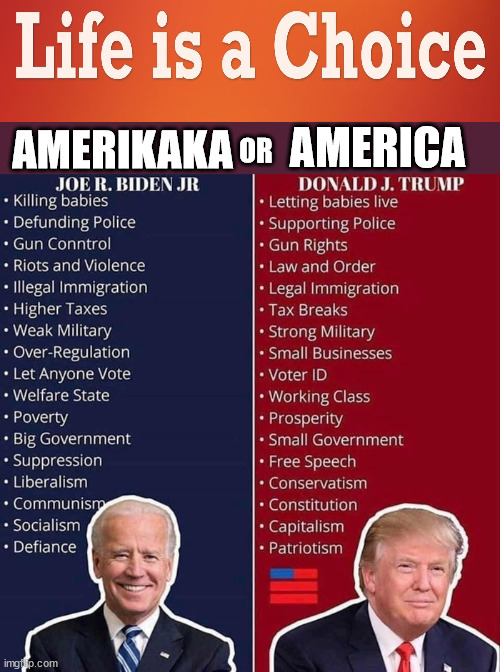 Life is a choice....Death now in office... |  AMERICA; AMERIKAKA; OR | image tagged in biden,selection,bidensbackside,evil,hunter | made w/ Imgflip meme maker