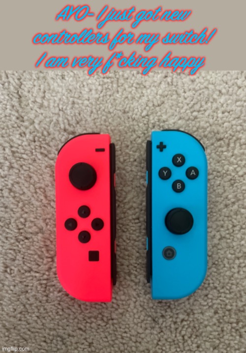 AYO- I just got new controllers for my switch! I am very f*cking happy | image tagged in nintendo switch | made w/ Imgflip meme maker