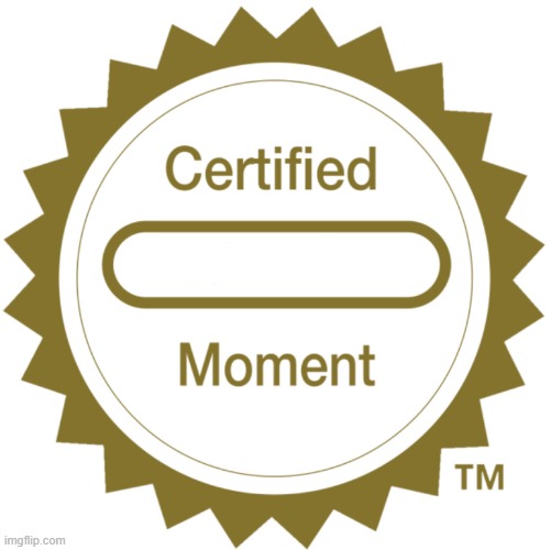 Certified Moment | image tagged in certified moment | made w/ Imgflip meme maker